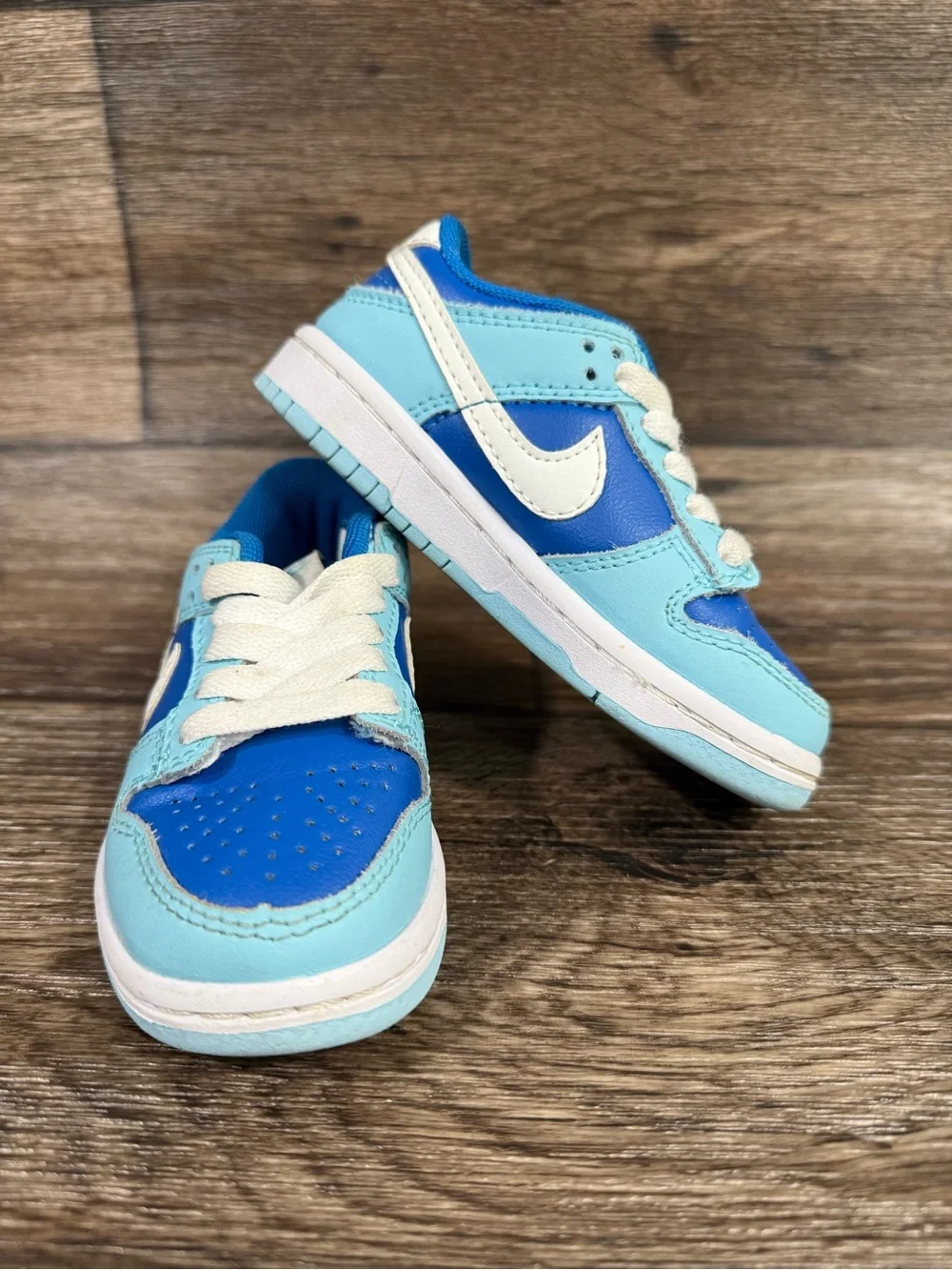 Nike Dunk Low Retro QS (TD) Argon Toddler Size 8C Blue Shoes Sneakers